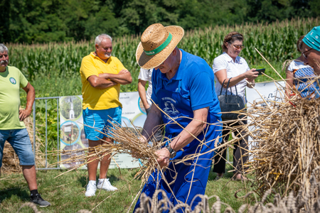 Dobrovnik - 2000 semen - ZETEV 2025-1174795